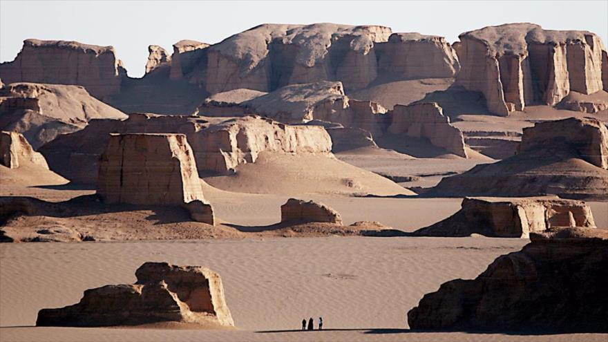 Investigación busca determinar cómo sobreviven las especies del desierto a temperaturas extremas.