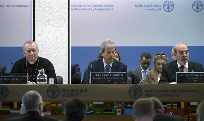 Los 194 miembros de la FAO deberán aprobar en la sesión 40° el programa de trabajo y el presupuesto de la organización correspondientes al período 2018-2019.