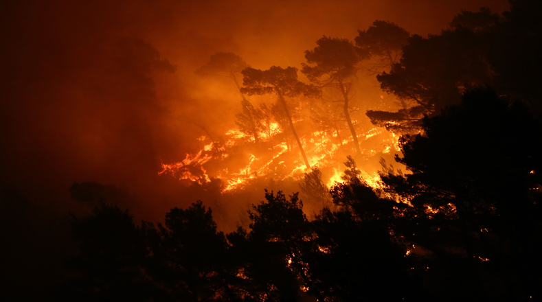 La costa del Adriático se ha visto afectada últimamente por decenas de incendios.