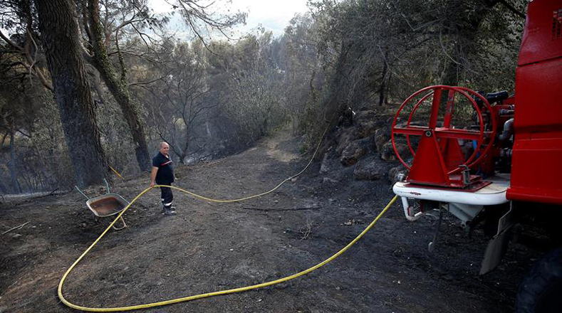 Incendios forestales devastan más de tres mil hectáreas en Francia