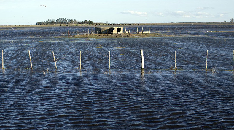 Inundaciones afectan ocho millones de hectáreas en Argentina