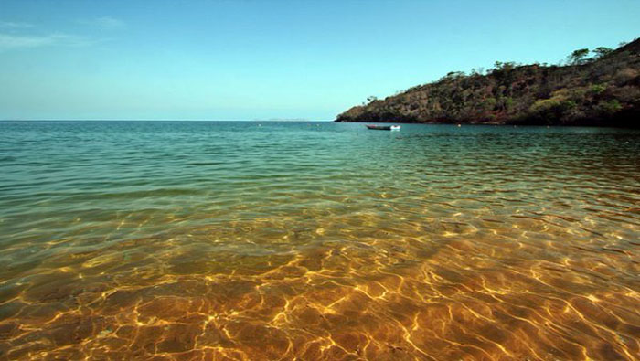 Las jornadas de saneamiento ambiental son realizadas por voluntarios en diversas playas del mundo.
