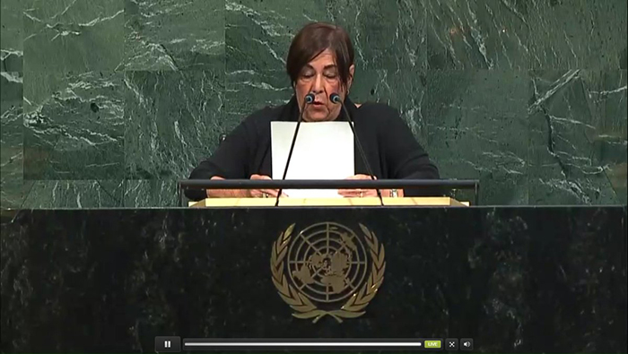 La representante sostuvo que el objetivo de la ONU debe ser la lucha por la paz.