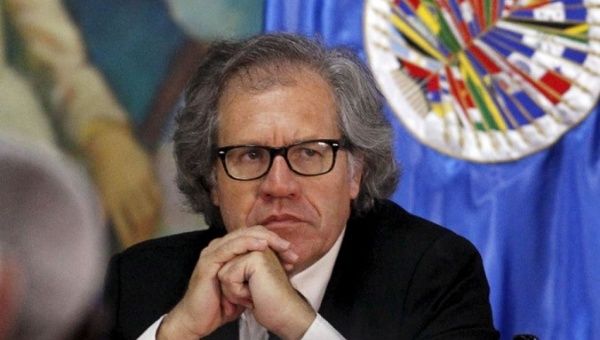 Image result for luis almagro