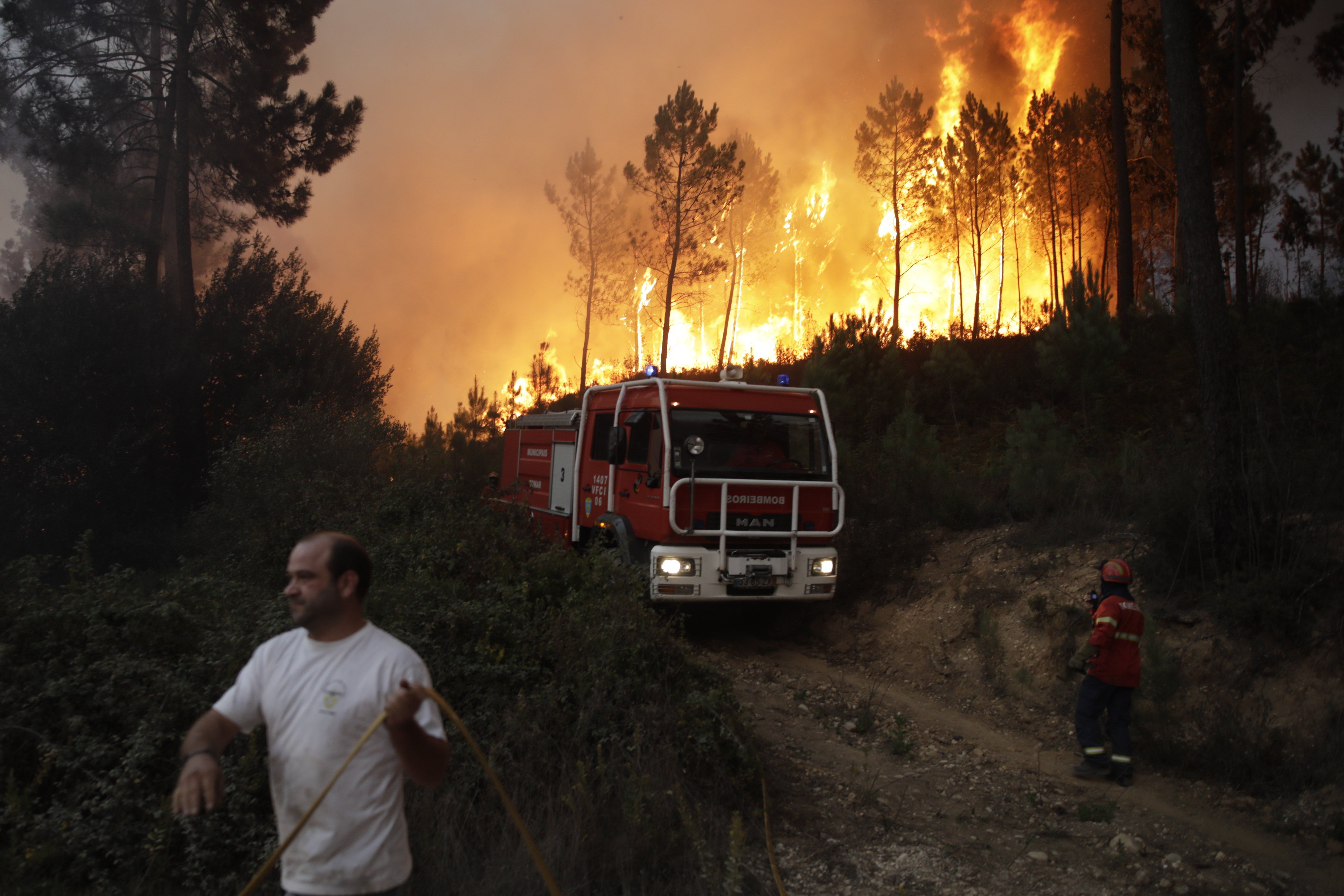 Entre enero y septiembre de este año ardieron 215.988 hectáreas forestales en Portugal.