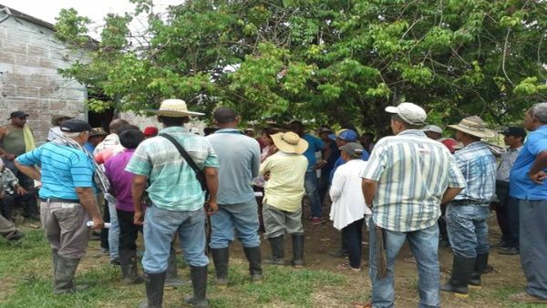 Este hecho pone en riesgo el inicio de la sustitución voluntaria de cultivos de uso ilícito en los municipios de Toledo y Sabanalarga. 