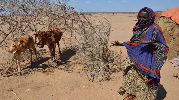 Fenómeno climático la Niña agravará sequía en África | Noticias | teleSUR