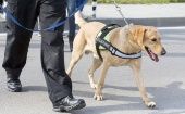 E jefe de la Asociación Canina de la Policía de EE.UU., aseveró que "los perros pueden ser el socio adecuado para cumplir con el trabajo". 