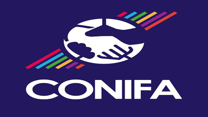 Conifa agrupa a más de 47 organizaciones deportivas que no son reconocidas por la FIFA.