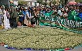 Bolivia reivindica el valor cultural y medicinal de la coca