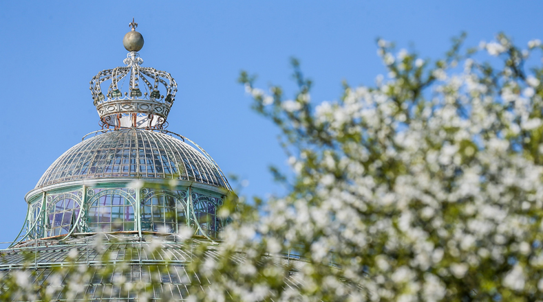 Una de las estructuras más asombrosas de los Invernaderos Reales de Laeken es la cúpula de cristal con 25 metros de altura, contruido entre 1874 y 1876.