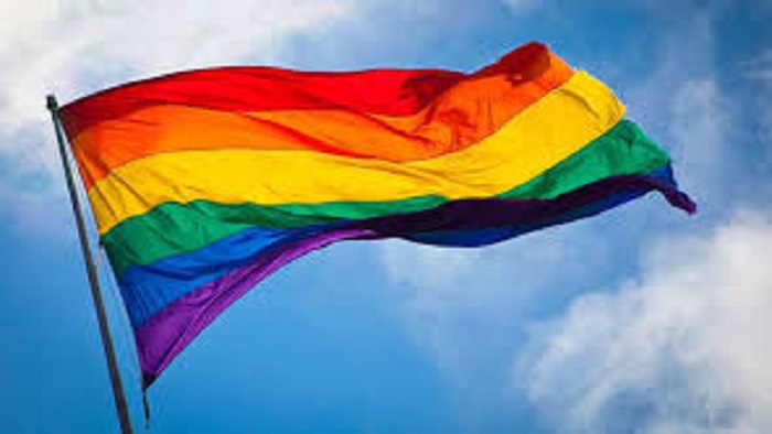 La comunidad de Lesbianas, Gais, Bisexuales, Transexuales e Intersexuales (LGBTI) ha consolidado sus derechos en más de 25 países.