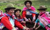 En el pasado censo de octubre de 2017, cuatro millones 100 mil ciudadanos se declararon descendientes indígenas en Perú.