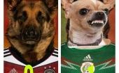 El triunfo de México sobre Alemania generó los mejores memes.
