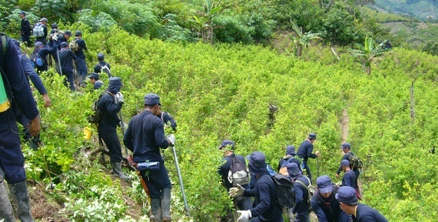 La FARC llamó a una movilización para antes del 7 de agosto, en apoyo al programa.