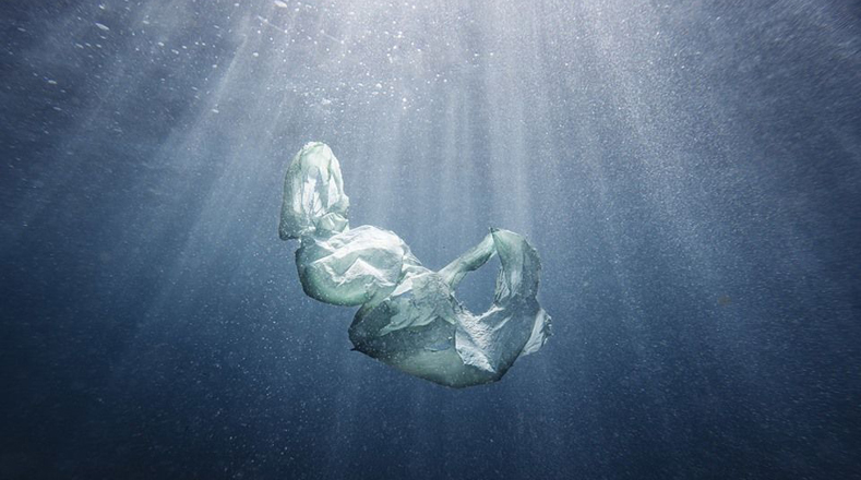Como parte de la lucha contra la contaminación del plástico en el mar, "Su Majestad" es una fotografía de la categoría Agua que retrata la realidad de esta amenaza y, según el autor, muestra "una bolsa de plástico en su hábitat natural".