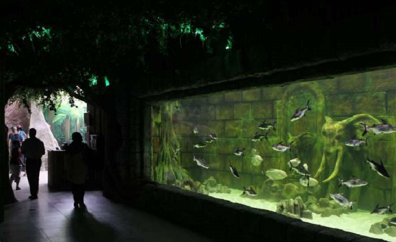 Irán abre las puertas de un impresionante complejo recreativo multidimensional que combina un gigante acuario marino y un zoológico con todas las especies silvestres.