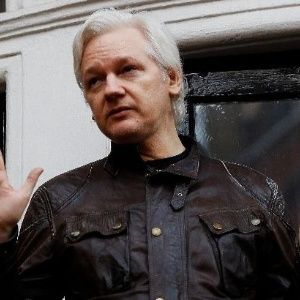 Julian Assange Political Asylum New Zealand Petition 