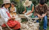 La desigualdad económica de género en América Latina