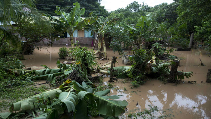 Entre las zonas afectadas están Matagalpa, Nueva Segovia, Chinandega León, Managua, Jinotega y las regiones autónomas del Caribe.