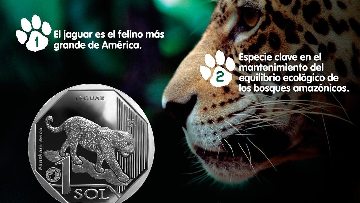 Otros de los animales mostrados en monedas han sido la pava aliblanca, al tapir andino, al cóndor andino, al cocodrilo de tumbes y al oso andino de anteojos.