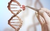 El estudio fue probado en 103 muestras humanas de ADN: 72 pertenecían a pacientes con cáncer y 31 a personas sanas. 