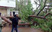 Cientos de árboles y semáforos fueron derrumbados tras los fuertes vientos y las lluvias intensas que azotan varias regiones del país.