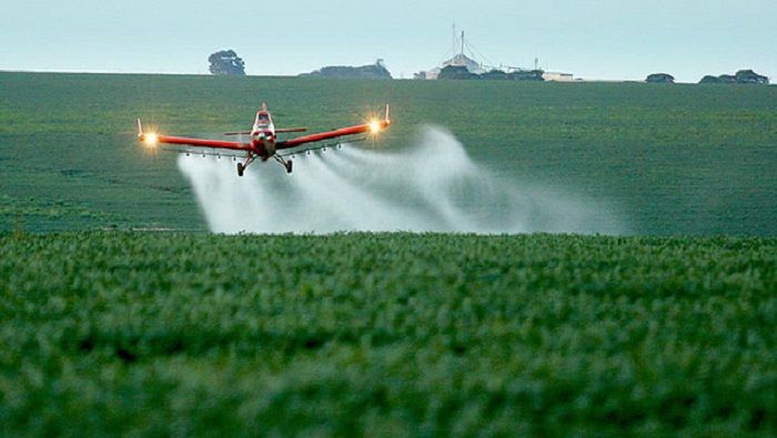 Datos difundidos por la Empresa Brasileña de Pesquisa Agropecuaria revelan que casi 20 por ciento de los agrotóxicos, manejados por el método de pulverización aérea, viajan fuera de la región de aplicación.