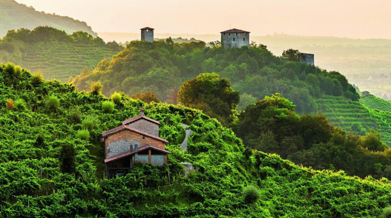 Un paisaje rural que ha deslumbrado a sus visitantes son las terrazas de vides en  Conegliano y Valdobbiadene, donde la agricultura y la viticultura de prosecco son tradiciones de generaciones.