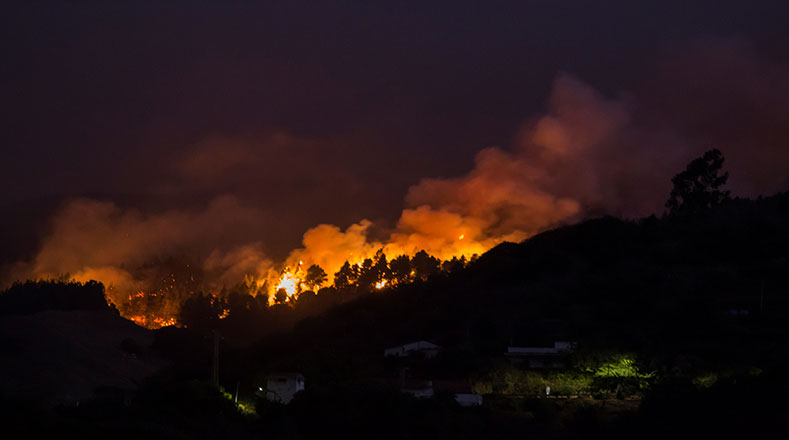 Al menos 9.000 personas han sido evacuadas por un incendio forestal en la isla española Gran Canaria.