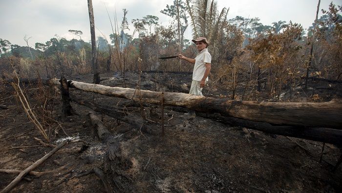 Más de la mitad de los 79.500 incendios ocurridos en Brasil, entre el 1 de enero y el 24 de agosto de 2019, fueron en la selva amazónica.