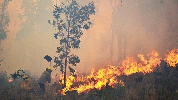 Evo insiste en mantener la unidad frente a la oleada de incendios forestales que afectan varias regiones de Bolivia.