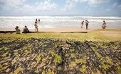 La contaminación del crudo ha afectado más de 250 playas de la costa del noreste de Brasil.