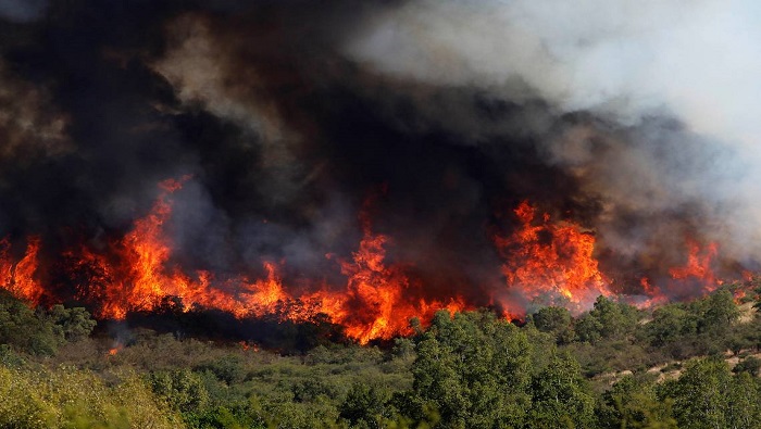 La mayor parte de los incendios se localizan en las regiones de Valparaiso, Araucanía, Bio Bio y Maule.