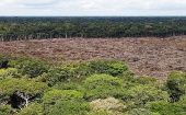 ¿Qué debe saber sobre la deforestación en Amazonía brasileña?