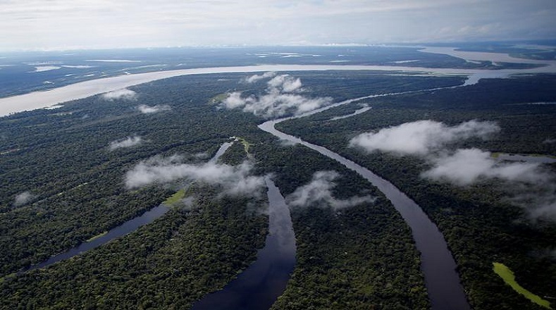 La Amazonía, está repartida en varios países de América Latina y abarca 7.400.000 de kilómetros cuadrados, repartidos en gran parte por Brasil, pero también en zonas de Bolivia, Colombia, Ecuador, Guyana, Perú, Surinam y Venezuela. 