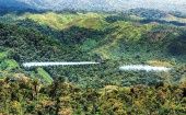Organización campesina colombiana rechaza nuevas fumigaciones 