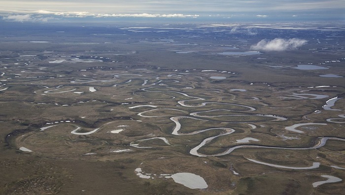 El Refugio Nacional Ártico de Vida Salvaje en Alaska es un ecosistema de 7,7 millones de hectáreas.