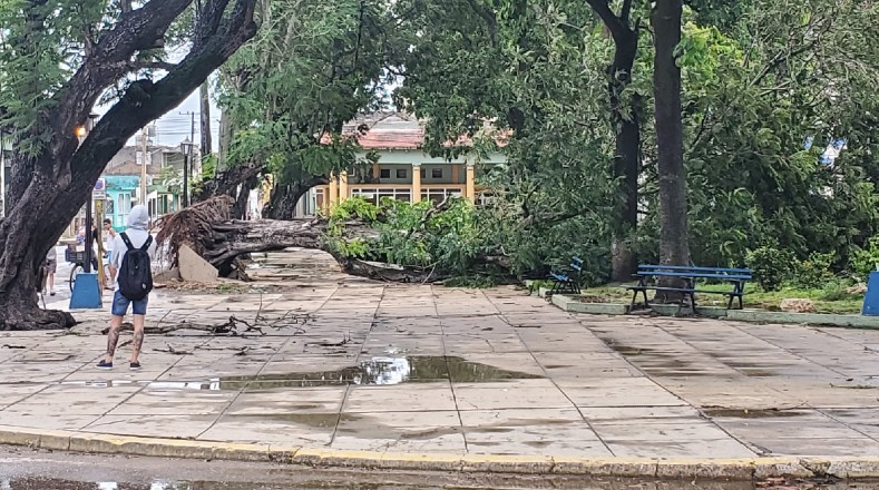 Matanzas presentó algunos derribos de árboles que en el transcurso del día se han manejado por las autoridades de la provincia para despejar vías y parques. 