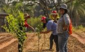 El Plan Nacional de Plantación de Árboles trajo el desafío de fortalecer la relación entre la producción de alimentos y el cuidado de los bienes comunes
