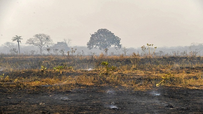 Graves incendios en Pantanal afectan la biodiversidad en Brasil