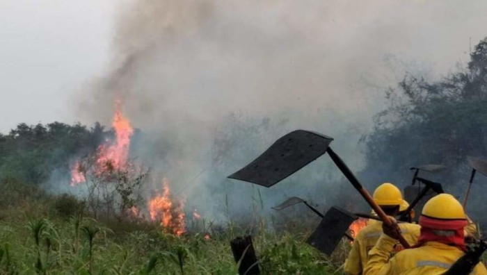 La extensión del fuego este año se acerca al millón de hectáreas, pero en zonas que no habían sido afectadas por los incendios de 2019. 