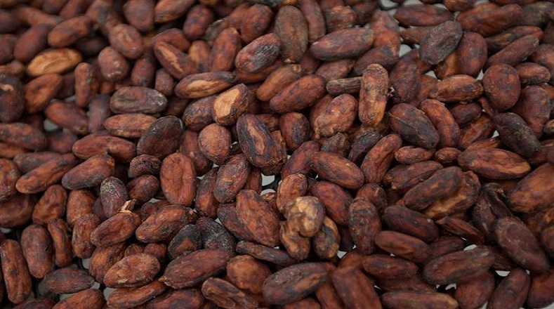 El cacao, cuyo nombre científico es Theobroma cacao, es un árbol procedente de América. Esta palabra se cree viene de los lenguajes que hablaban los olmecas antiguos, quienes fueron los primeros en cultivar dicha planta en Mesoamérica. 