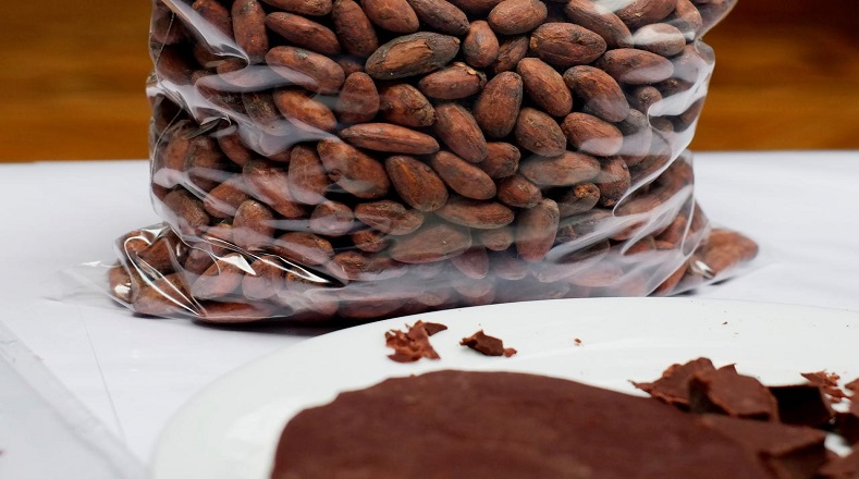 Sin embargo, el principal uso del cacao, y por el que más se conoce, es por ser el ingrediente esencial para la producción del chocolate. Este es uno de los alimentos más consumidos en muchos países a nivel mundial.