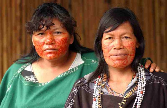 Los indígenas peruanos enfrentan la deforestación amazónica, la construcción de carreteras en sus territorios y la amenaza de la Covid-19.