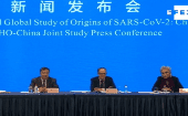 Los expertos de la OMS expresaron que "no hay evidencia" de que el SARS-CoV-2 circulara en Wuhan antes de diciembre de 2019.
