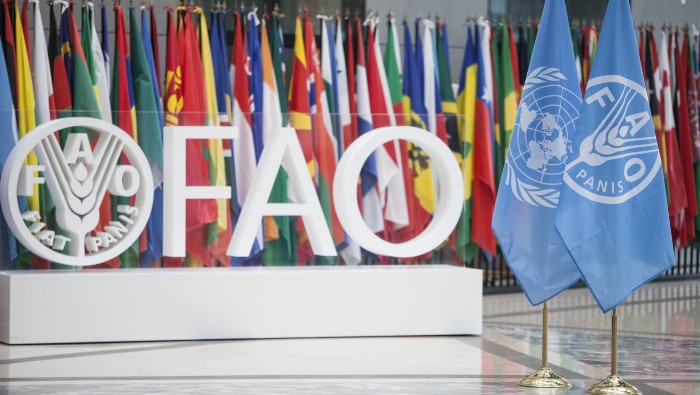 La FAO se propone contribuir a erradicar las hambrunas y para ello ha pedido mayor colaboración de los paises ricos.