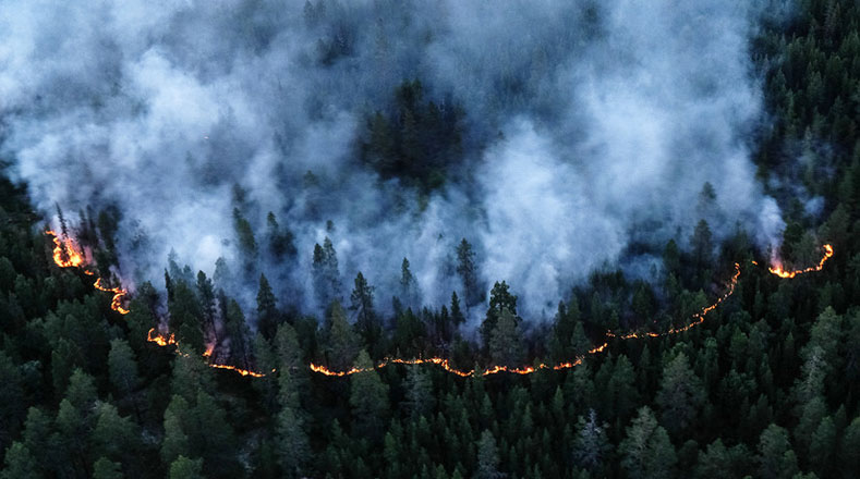 El Ministerio de Situaciones de Emergencia de Rusia declaró Estado de emergencia en varias zonas del país ante los incendios que afectan áreas boscosas y han destruido más de 1,6 millones de hectáreas.