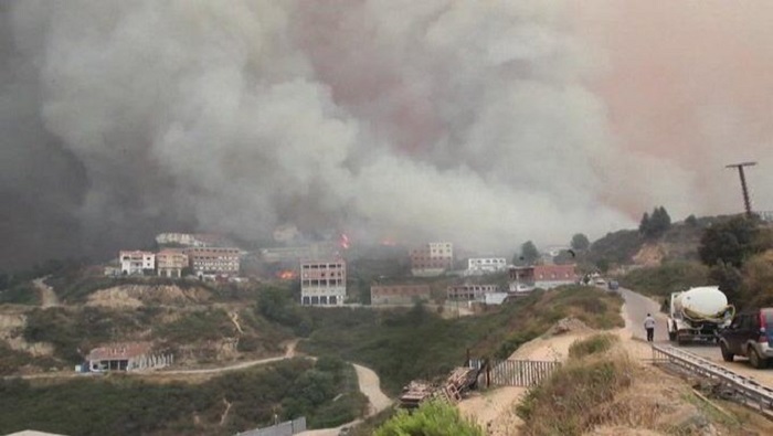 Las autoridades de Argelia no descartan la opción de que los incendios forestales fueron provocados.