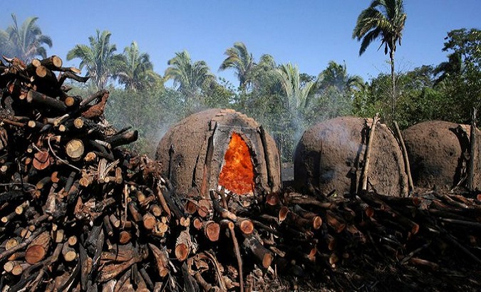 Brazil: Deforestation Hits Record in January in , News